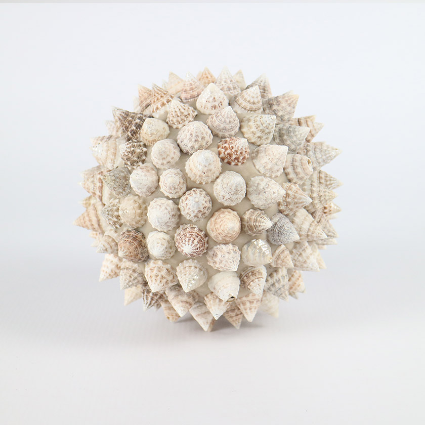 SHELL BALL MEDIUM SPIKE | Jambo Imports & Exports